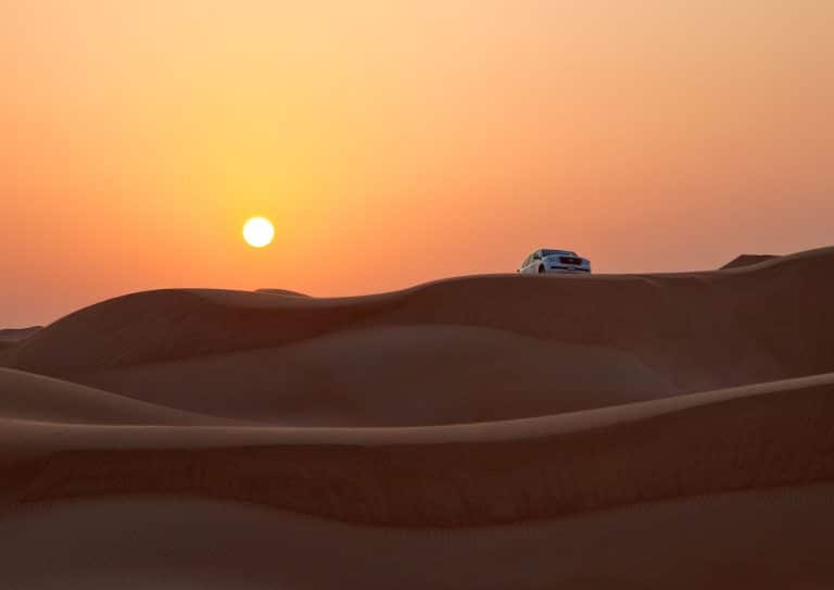 Safari à Dubaï : une expérience exceptionnelle
