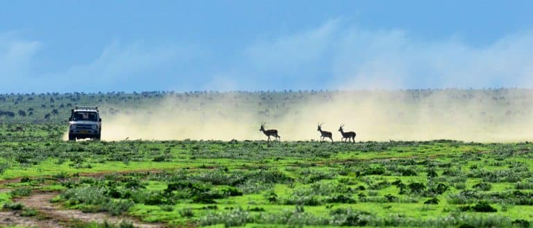 Les parcs nationaux et réserves naturelles au nord de la Tanzanie