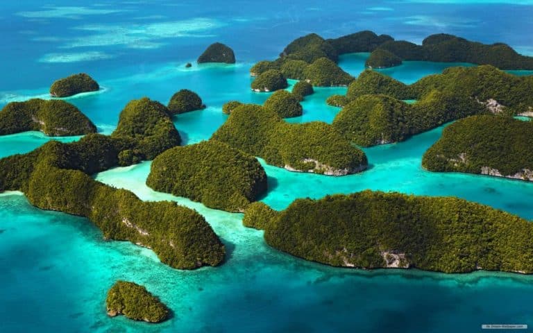 Les îles Galapagos : destination coup de cœur !