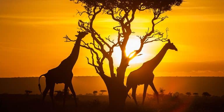 Découvrez 3 sites incontournables au Kenya