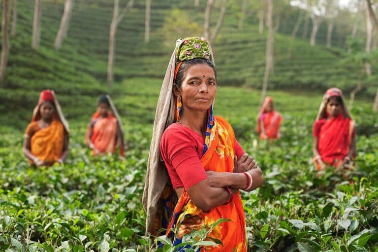 Différentes manières uniques et authentiques de découvrir l’Inde
