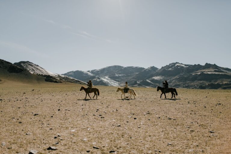 Comment traverser les steppes ?