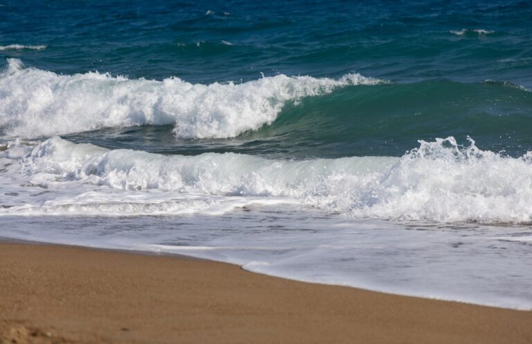 Quelle est la beauté de la dérive le long des côtes sauvages ?