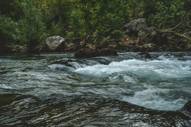 Comment traverser les rivières tumultueuses avec succès ?