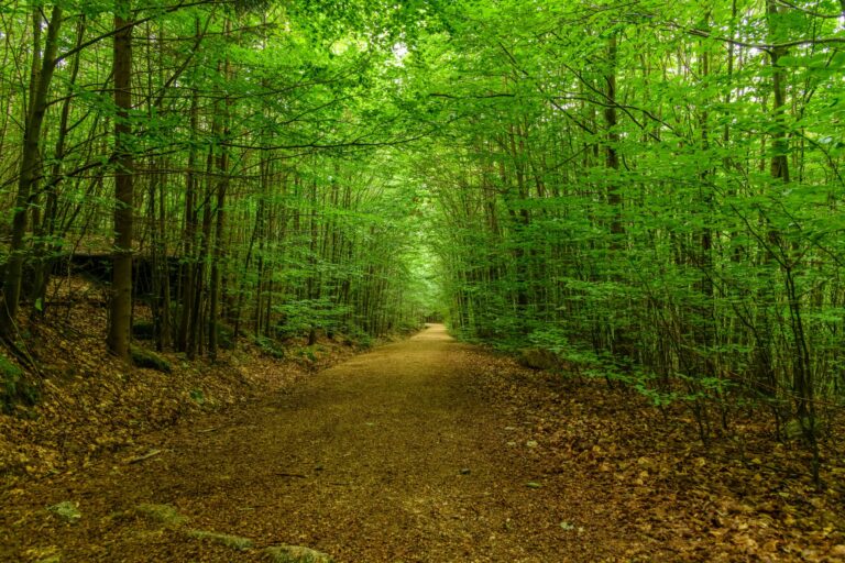 Quels sont les lieux oubliés à découvrir lors d&rsquo;un pèlerinage ?