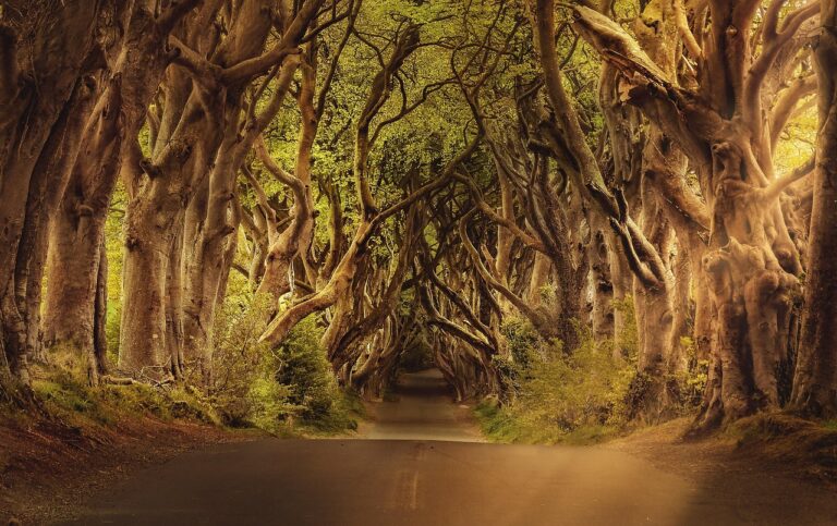Quel est le secret du voyage mystérieux ?