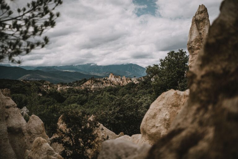 Quelles merveilles se cachent dans les terres sauvages ?